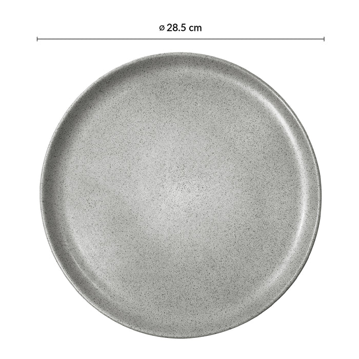 Plato Coupe 28.5 cm Gris Moon Cosmos