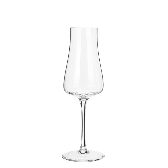 Copa Champagne 9 Oz (267ml) Eclectic