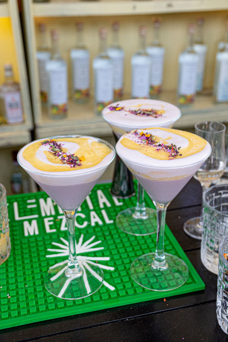 Copa Martini 7 Oz (208ml) Templada Cocktail