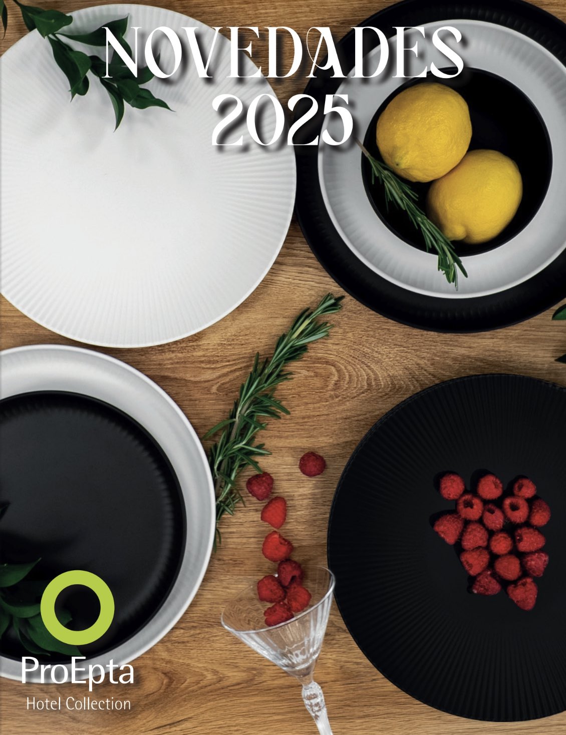 Descarga nuestro catálogo de Novedades 2025